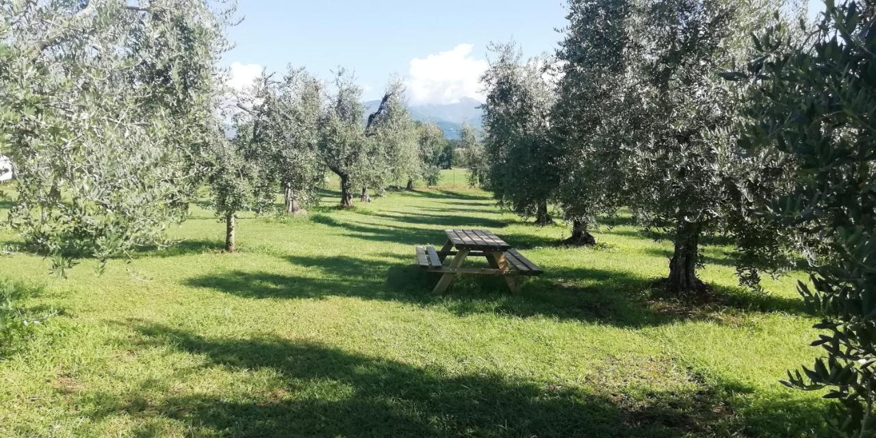 Agriturismo Fioralba Polpenazze del Garda Esterno foto
