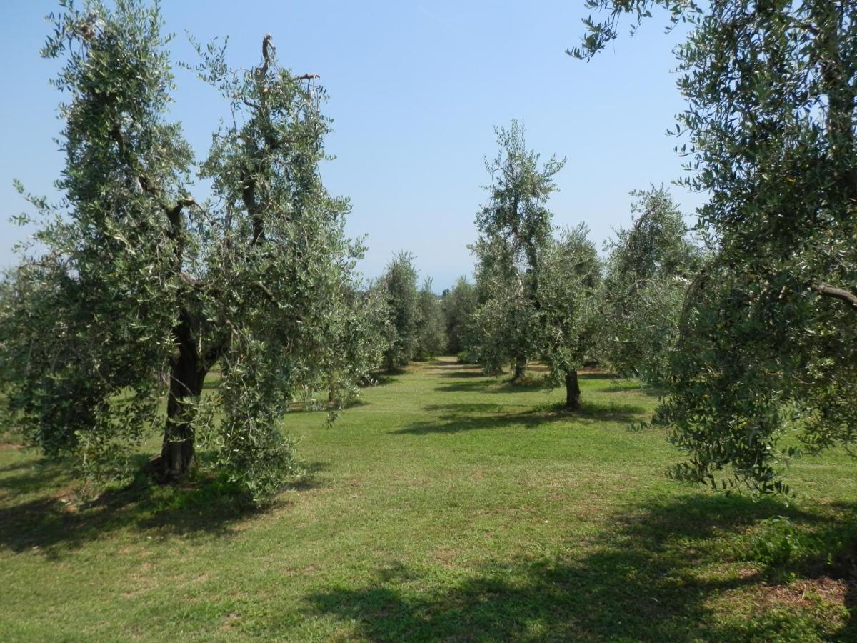 Agriturismo Fioralba Polpenazze del Garda Esterno foto