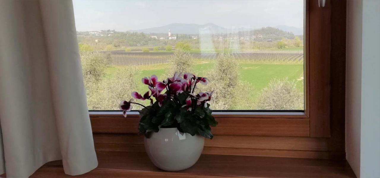 Agriturismo Fioralba Polpenazze del Garda Esterno foto
