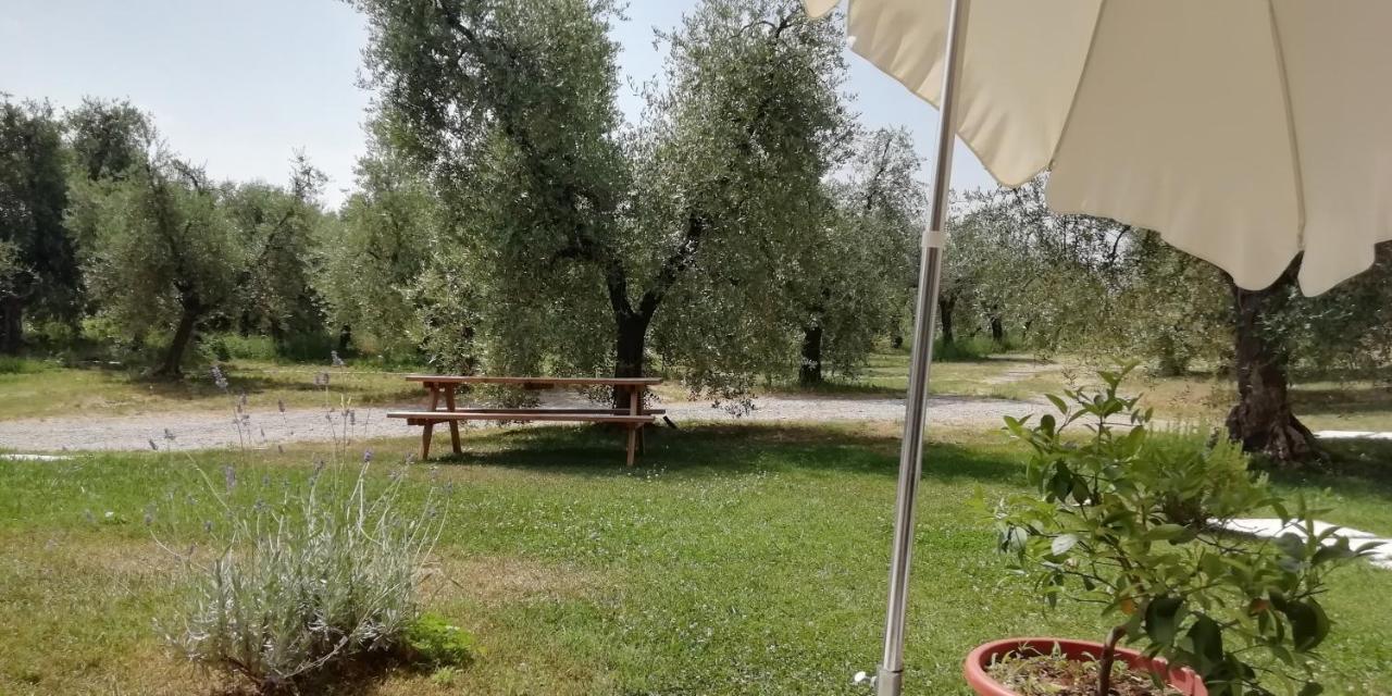 Agriturismo Fioralba Polpenazze del Garda Esterno foto