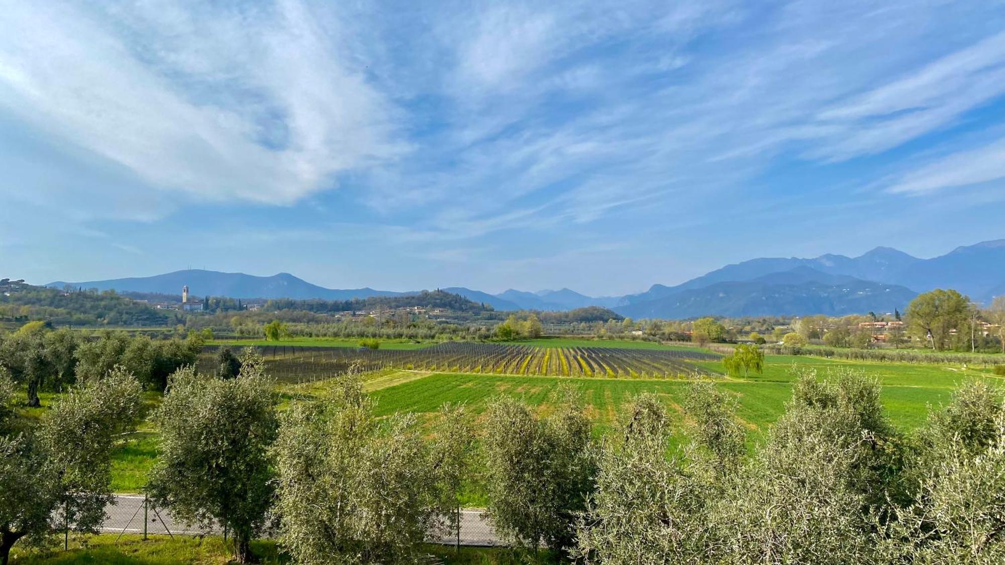 Agriturismo Fioralba Polpenazze del Garda Esterno foto