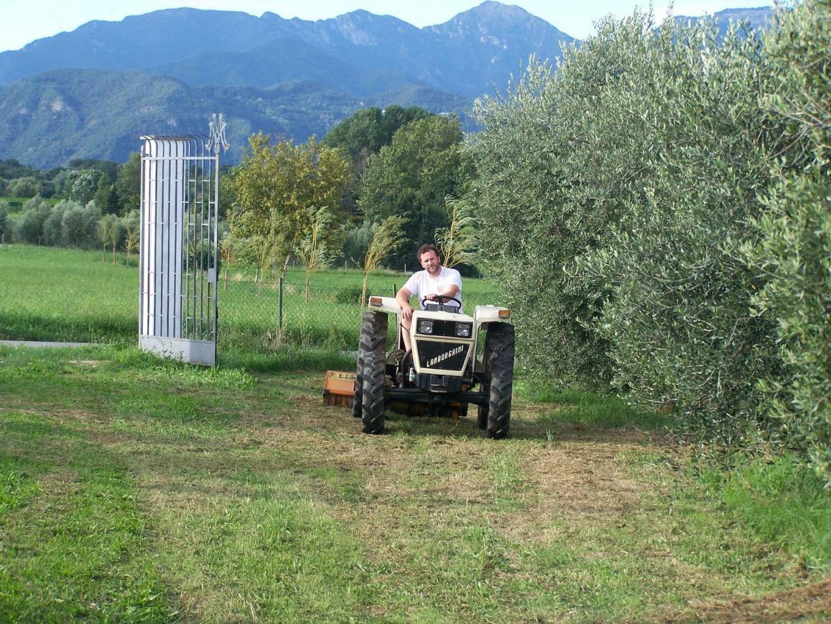 Agriturismo Fioralba Polpenazze del Garda Esterno foto