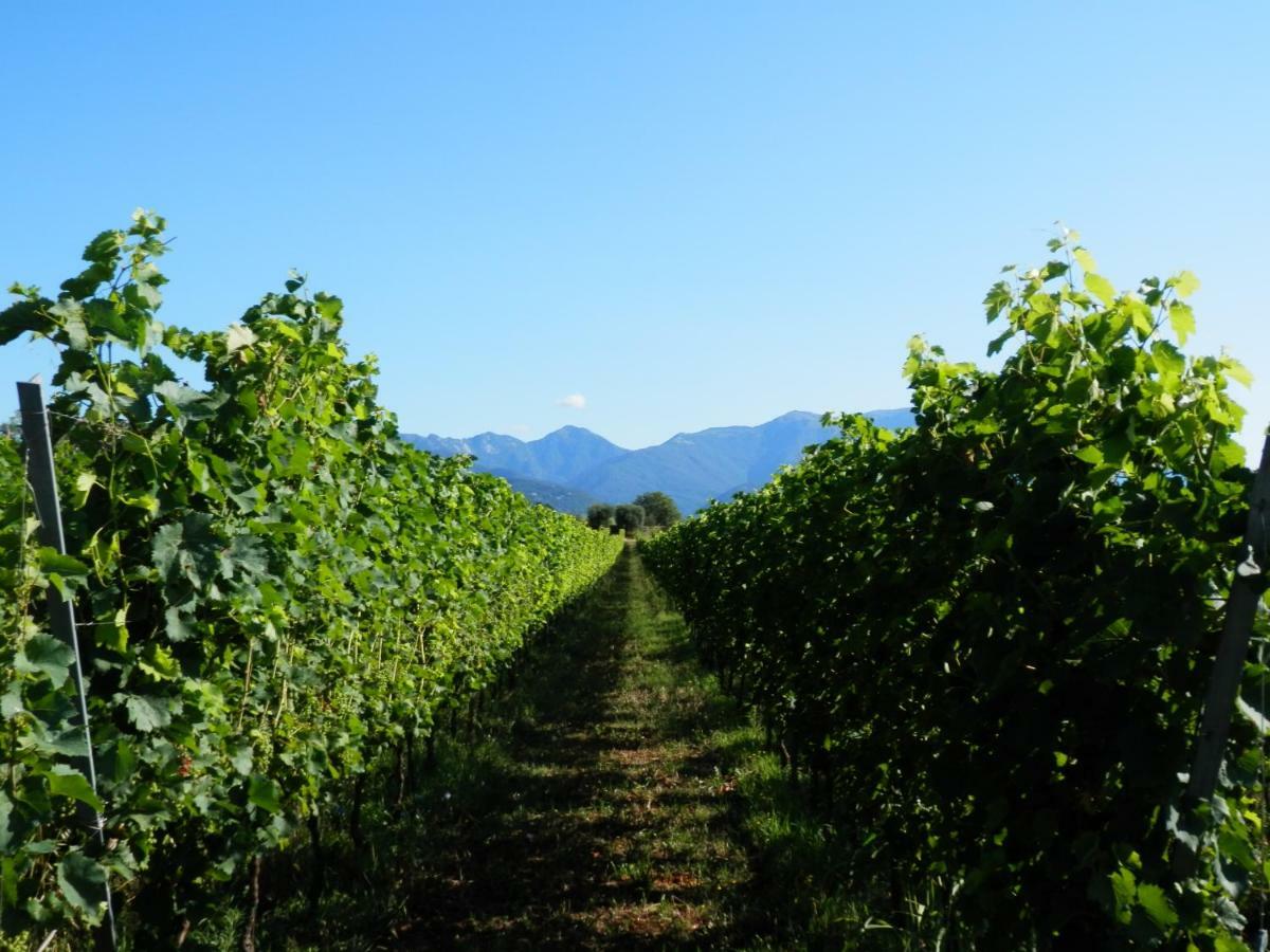 Agriturismo Fioralba Polpenazze del Garda Esterno foto