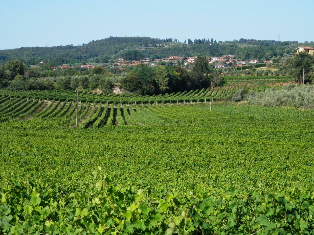 Agriturismo Fioralba Polpenazze del Garda Esterno foto