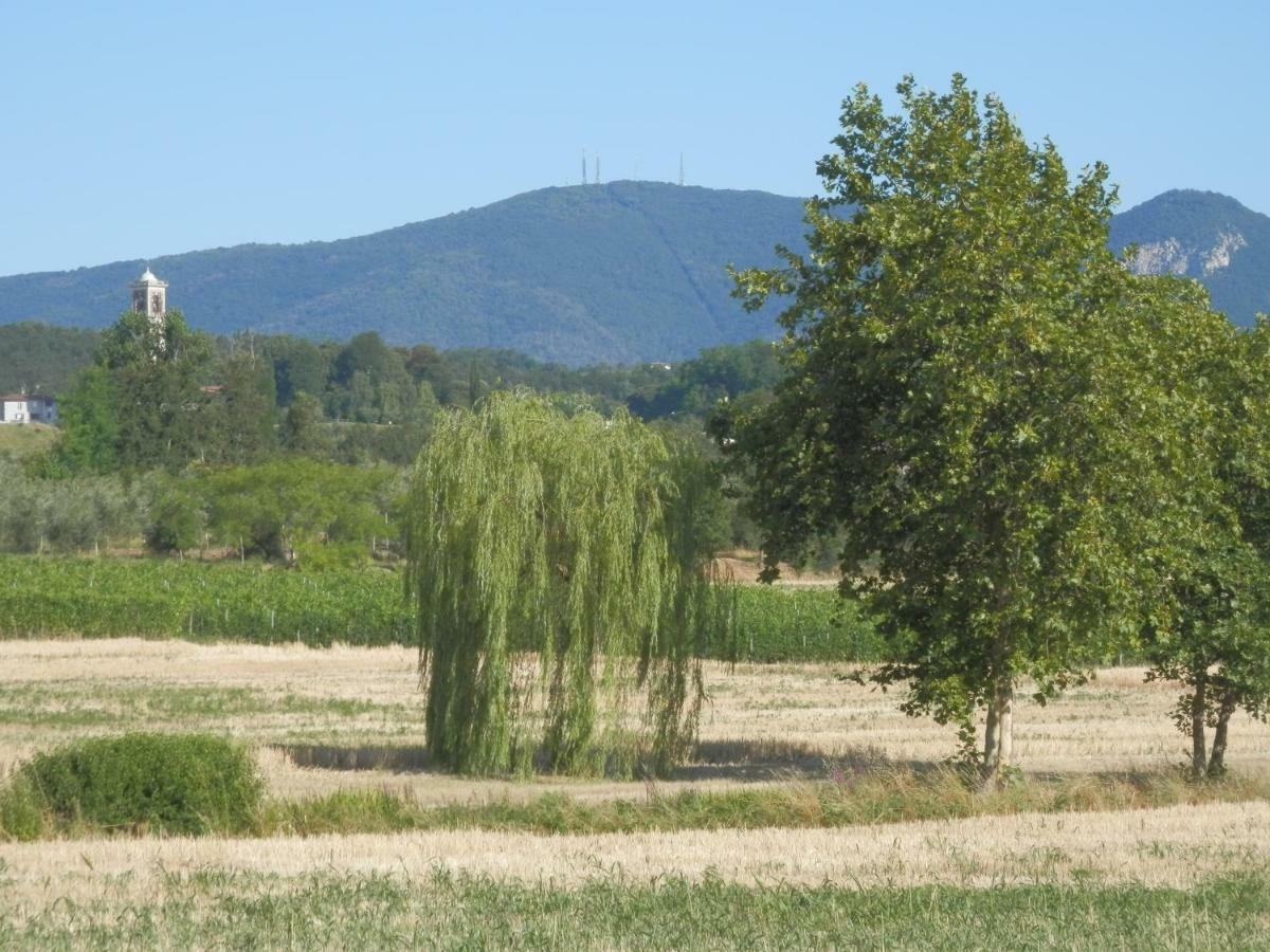 Agriturismo Fioralba Polpenazze del Garda Esterno foto